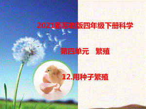 2021新苏教版四年级下册科学12.用种子繁殖课件.ppt