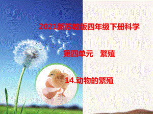 2021新苏教版四年级下册科学14.动物的繁殖课件 .ppt