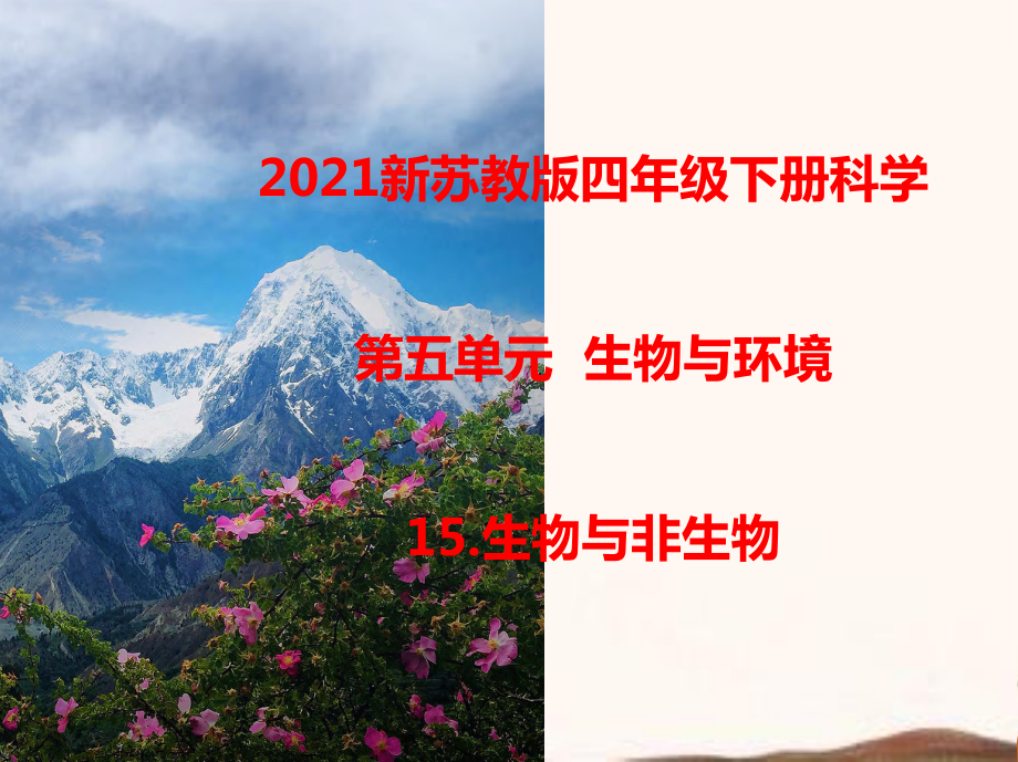 2021年春新苏教版科学四年级下册第五单元《生物与环境》课件.ppt_第1页