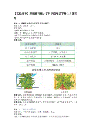 2021新教科版四年级下册科学 1.4茎和叶（实验指导）.doc