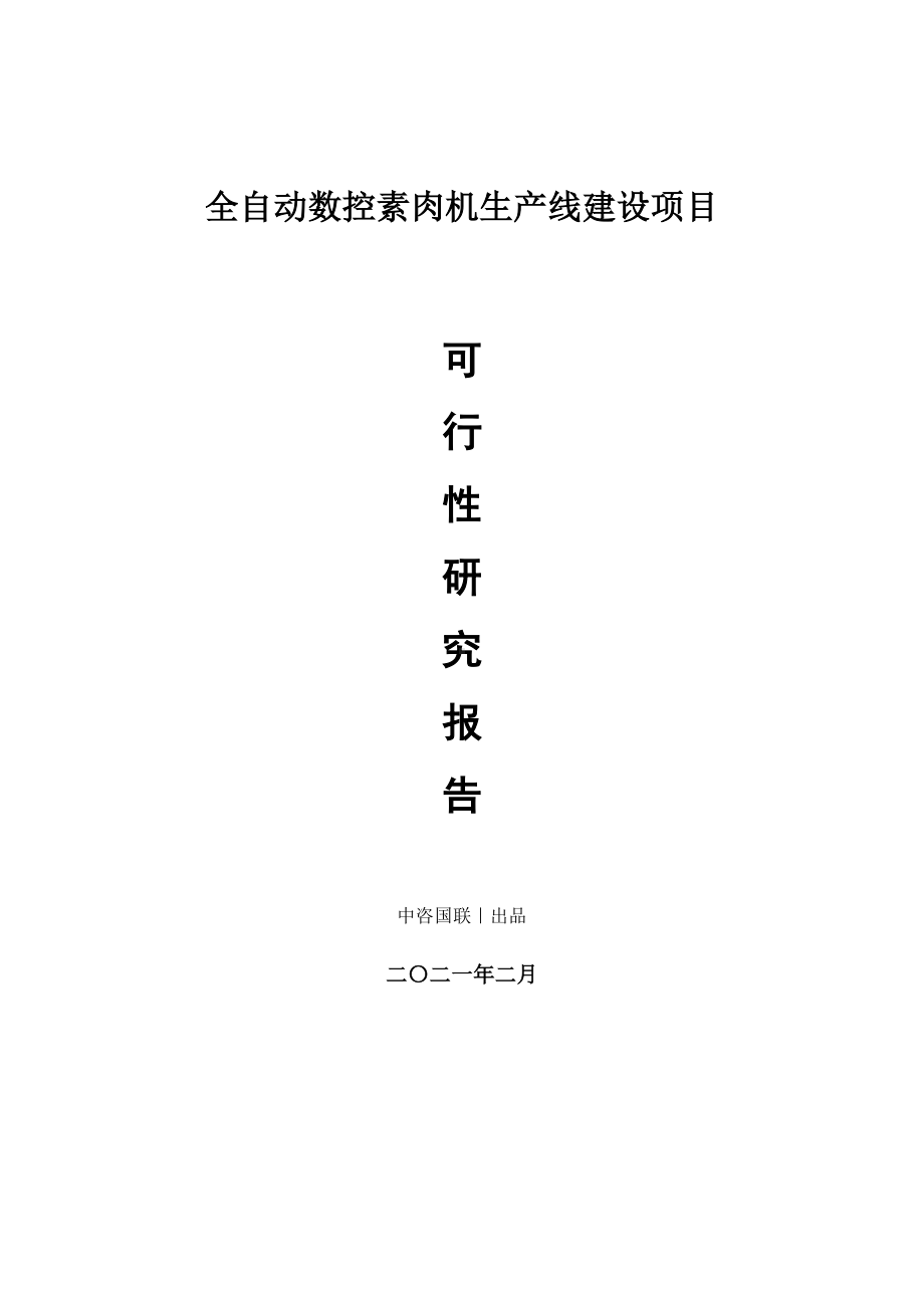 全自动数控素肉机生产建设项目可行性研究报告.doc_第1页