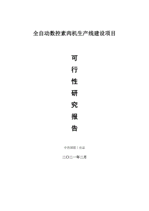 全自动数控素肉机生产建设项目可行性研究报告.doc