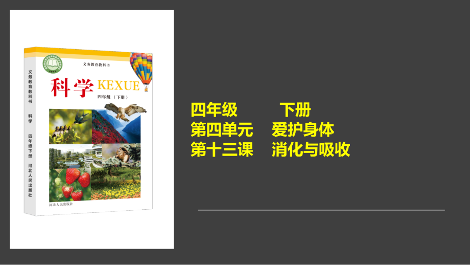 第13课-消化与吸收ppt课件（含视频）-2021新冀人版四年级下册科学 .zip