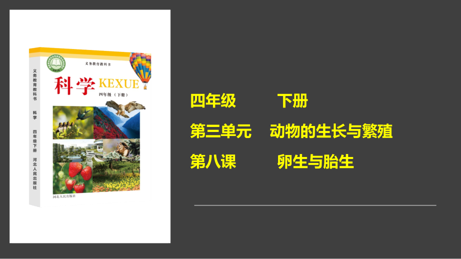 第8课-卵生与胎生ppt课件（含视频）-2021新冀人版四年级下册科学 .zip