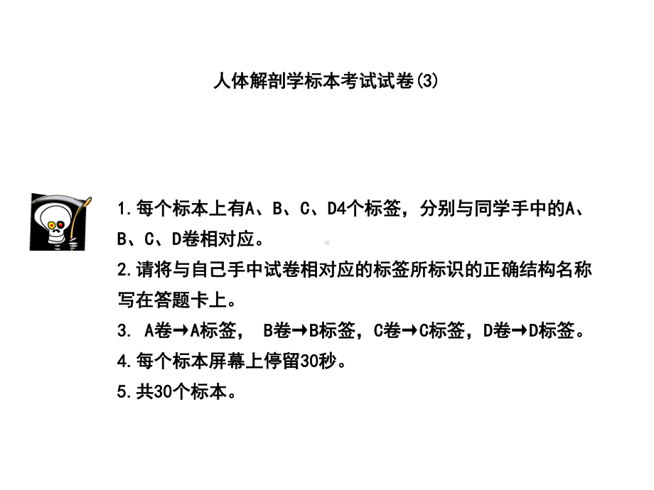 系解实验考完整教学课件.ppt_第2页