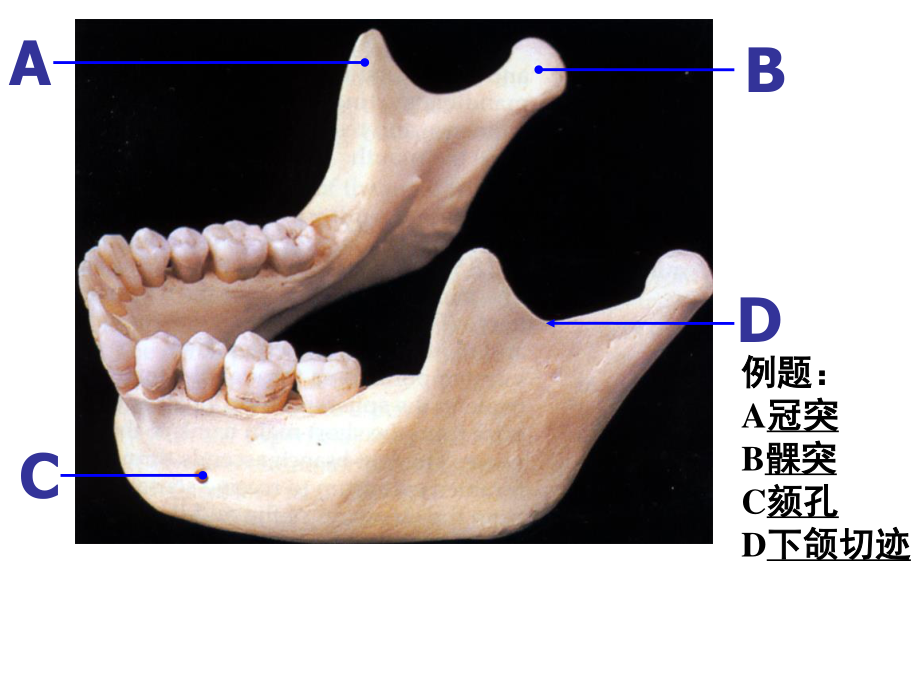 系解实验考完整教学课件.ppt_第3页