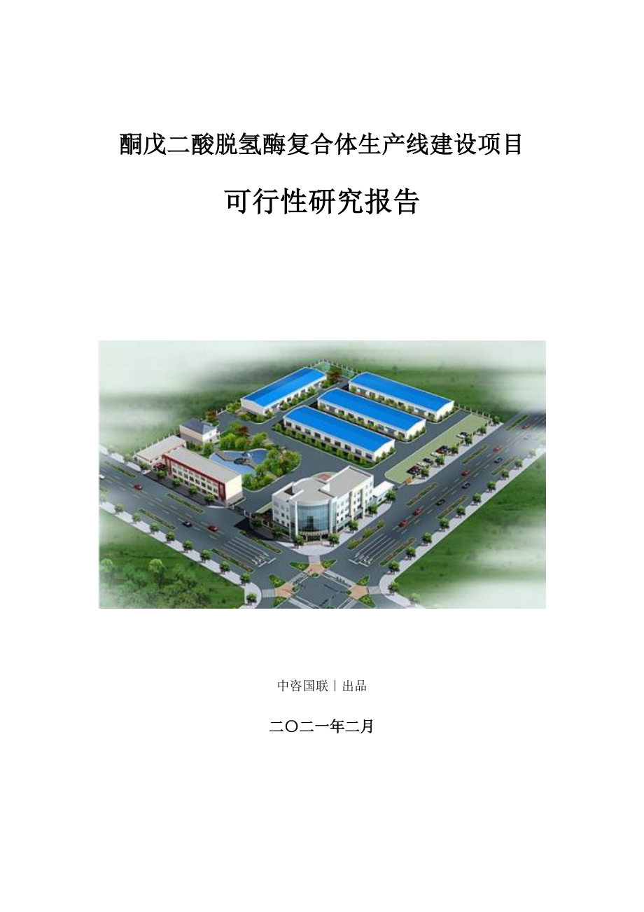 酮戊二酸脱氢酶复合体生产建设项目可行性研究报告.doc_第1页