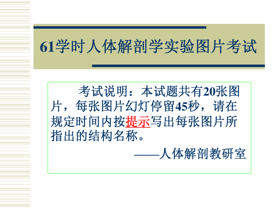 人体解剖学实验图片考试全册完整教学课件.ppt_第2页