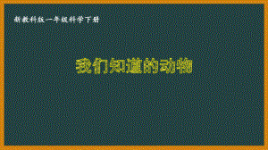 一年级科学下册第二单元教科版《2.1我们知道的动物》课件.PPTx