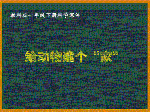 一年级科学下册第二单元教科版《2.4给动物建个“家”》课件.PPTx