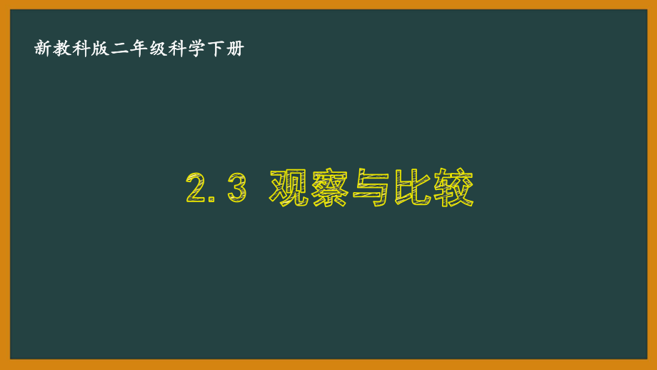 二年级科学下册第二单元教科版《2.3观察与比较》课件.pptx_第1页