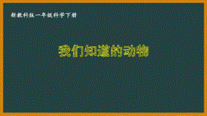 一年级科学下册第二单元《动物》全部教科版课件（共6课时）.pptx