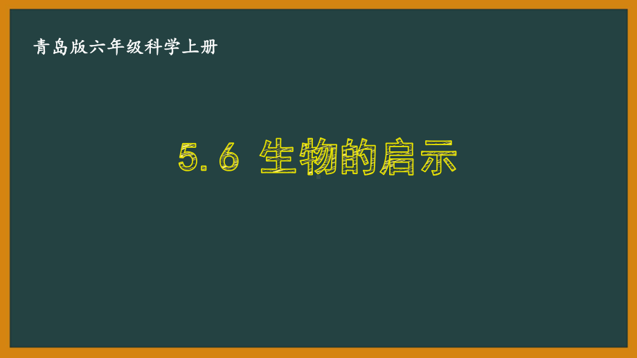 六三制青岛版六年级科学上册第五单元5.6《生物的启示》课件.ppt_第1页