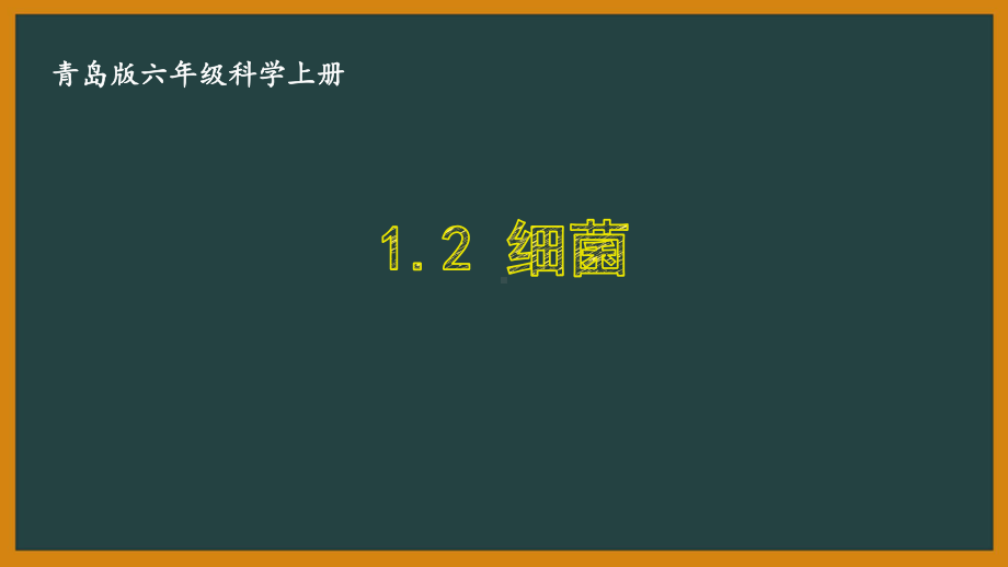 六三制青岛版六年级科学上册第一单元1.2《细菌》课件.ppt_第1页