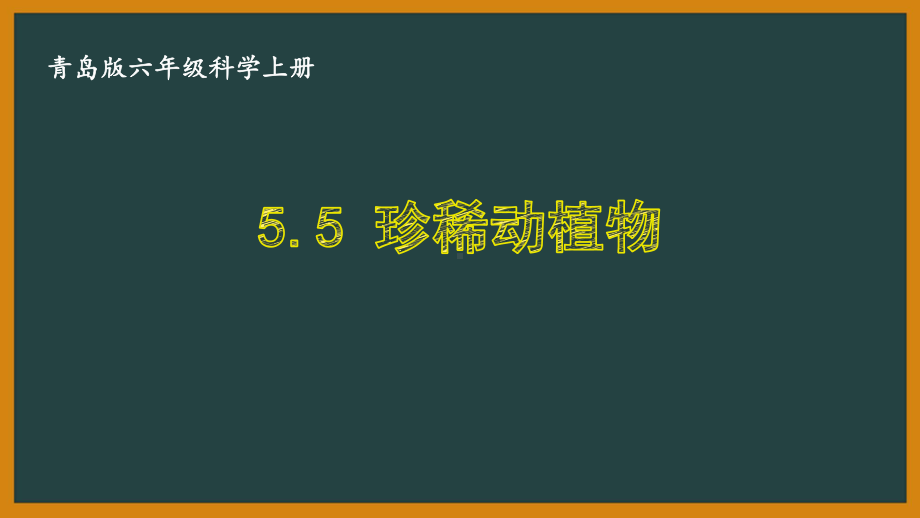 六三制青岛版六年级科学上册第五单元5.5《珍稀动植物》课件.ppt_第1页