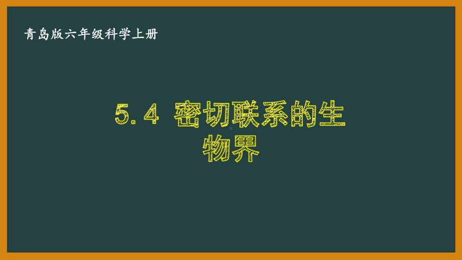 六三制青岛版六年级科学上册第五单元5.4《密切联系的生物界》课件.ppt_第1页