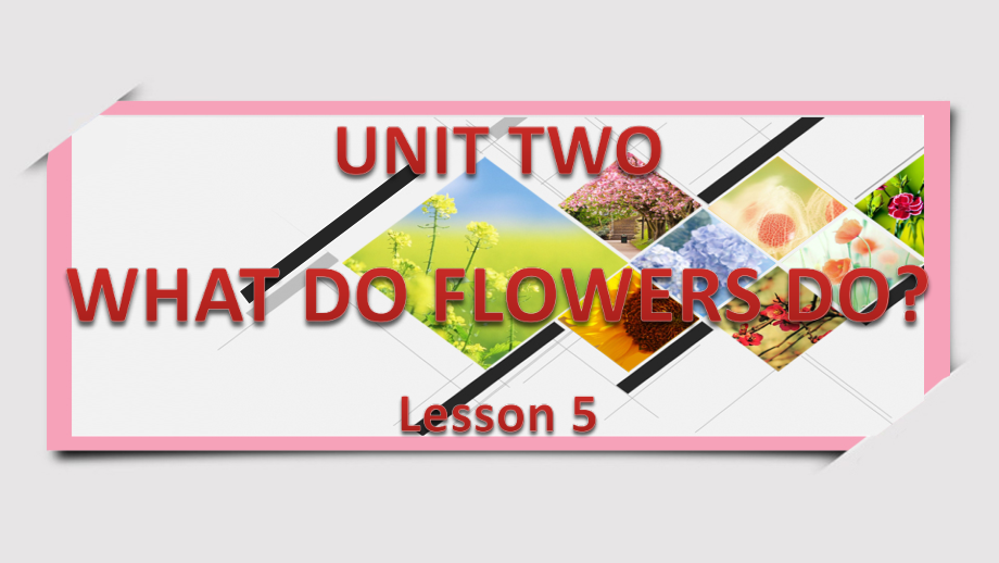 北京版五下UNIT TWO WHAT DO FLOWERS DO -Lesson 5-ppt课件-(含教案+视频)-公开课-(编号：90d39).zip