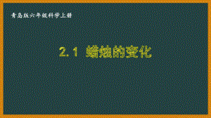 六三制青岛版六年级科学上册第二单元2.1《蜡烛的变化》课件.ppt