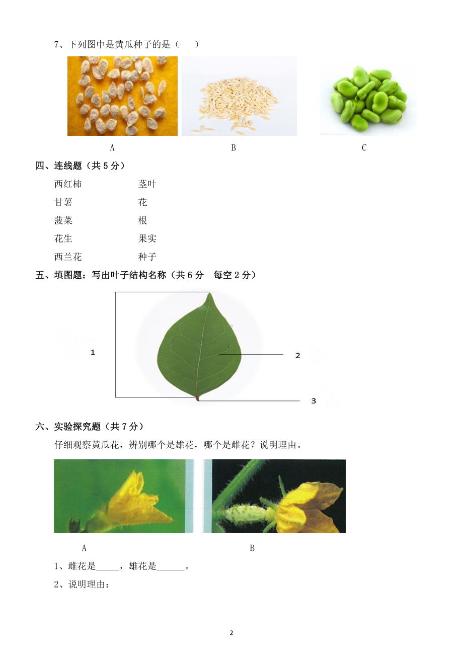 小学科学苏教版三年级下册第一单元《植物的一生》检测题（附答案）.doc_第2页