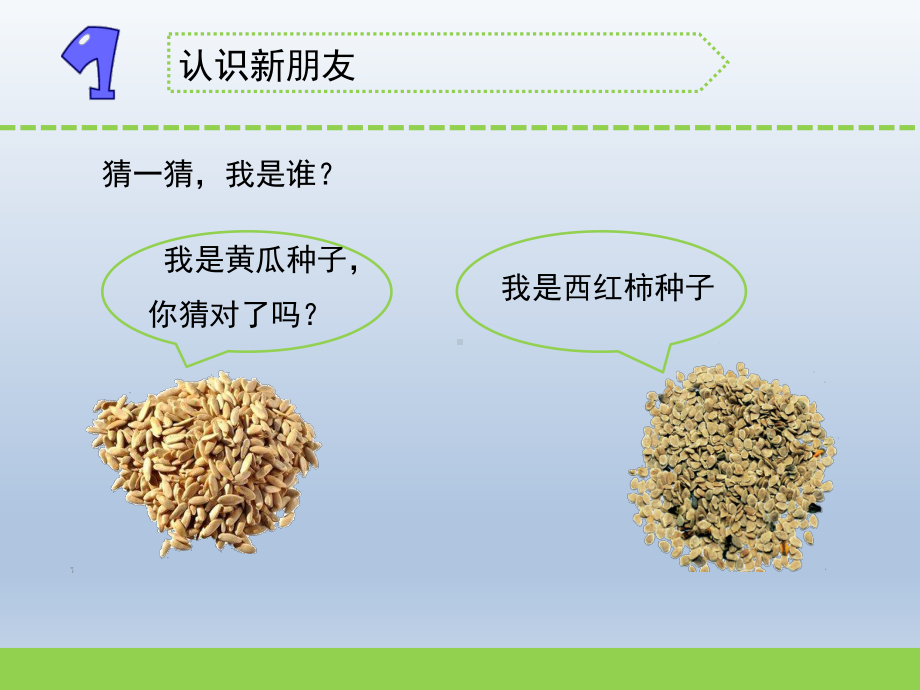 小学科学苏教版三年级下册第1课《种子发芽了》（第一课时）课件4.pptx_第1页