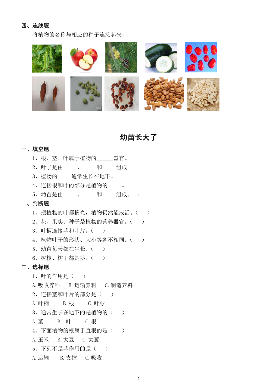 小学科学苏教版三年级下册全册课堂作业新设计（附答案）.doc_第3页