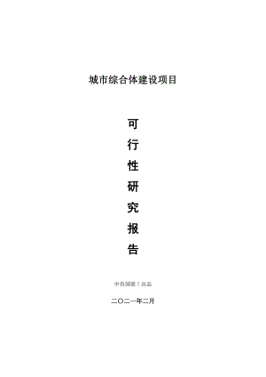 城市综合体建设项目可行性研究报告.doc