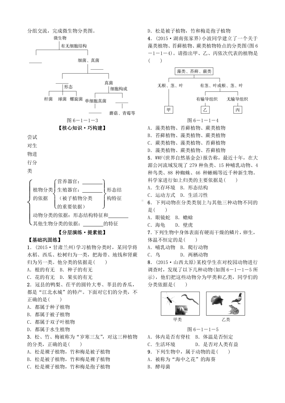 第一节 尝试对生物进行分类导学案.docx_第3页