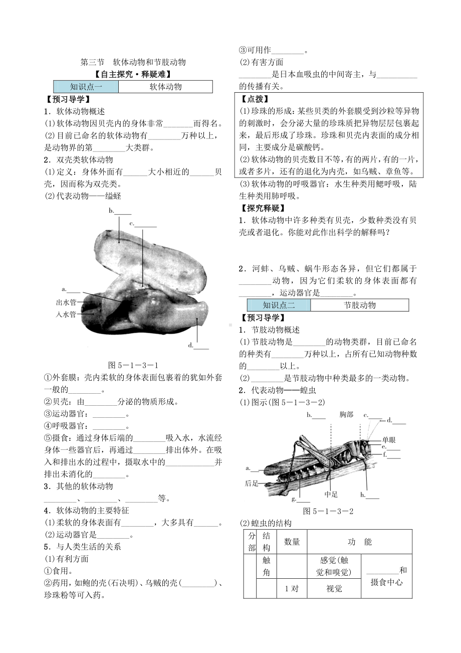 第三节 软体动物和节肢动物 导学案.docx_第2页