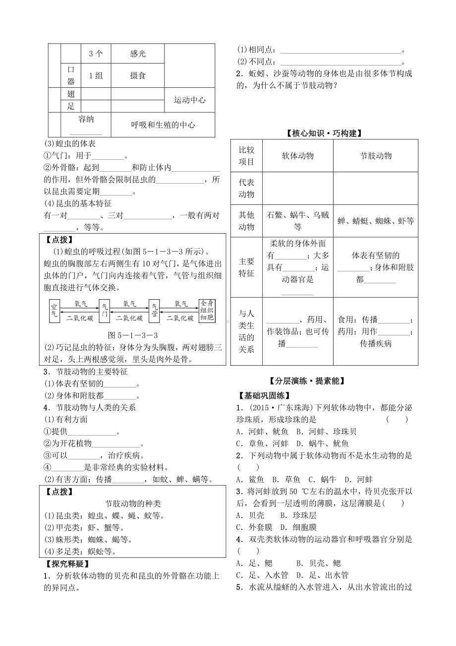 第三节 软体动物和节肢动物 导学案.docx_第3页