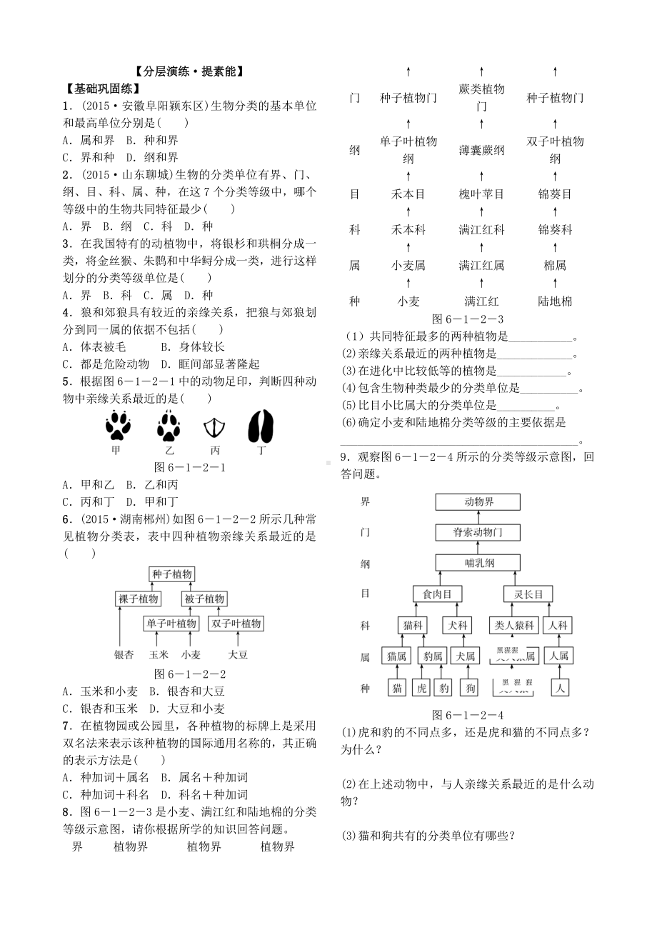 第二节 从种到界 导学案.docx_第3页