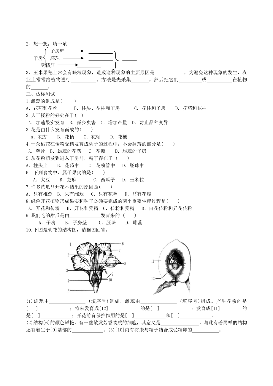 （七上生物人教版学案）3.2.3开花和结果.doc_第2页