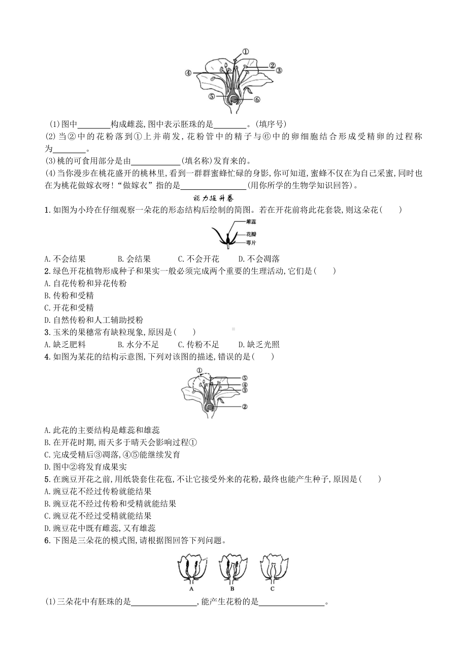 （七上生物人教版课时检测卷）3.2.3 开花和结果.doc_第2页