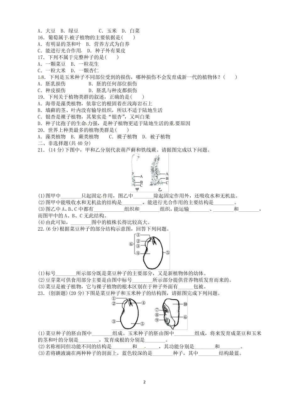 （七上生物人教版单元检测卷）3.1生物圈中有哪些绿色植物.doc_第2页