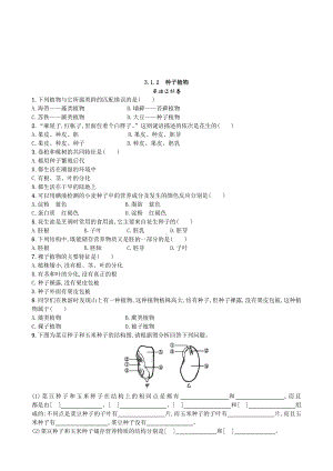 （七上生物人教版课时检测卷）3.1.2 种子植物.doc