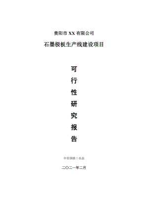 石墨极板生产建设项目可行性研究报告.doc