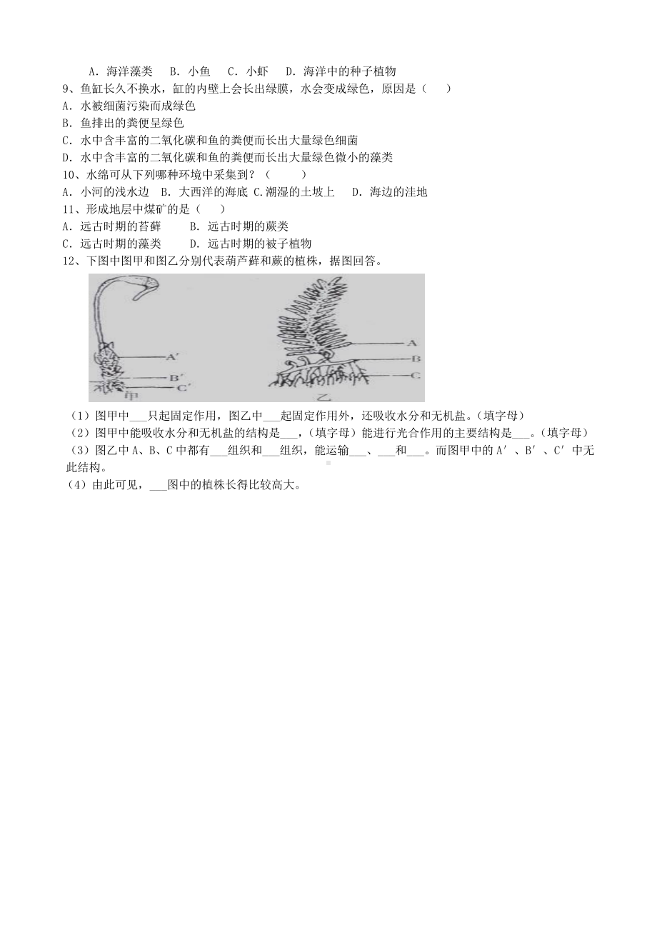 （七上生物人教版学案）3.1.1藻类、苔藓和蕨类植物.doc_第2页