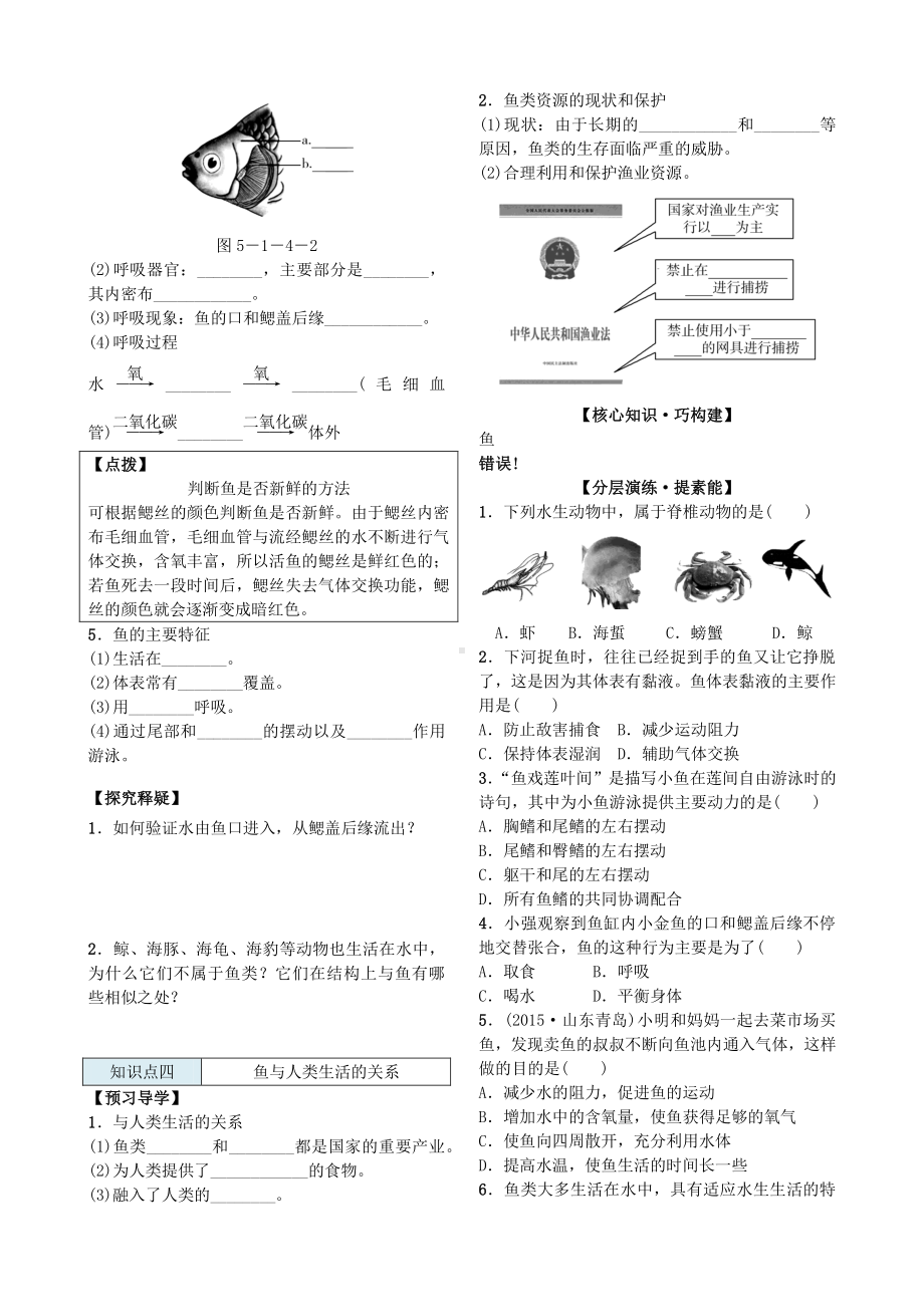 第四节 鱼 导学案.docx_第3页