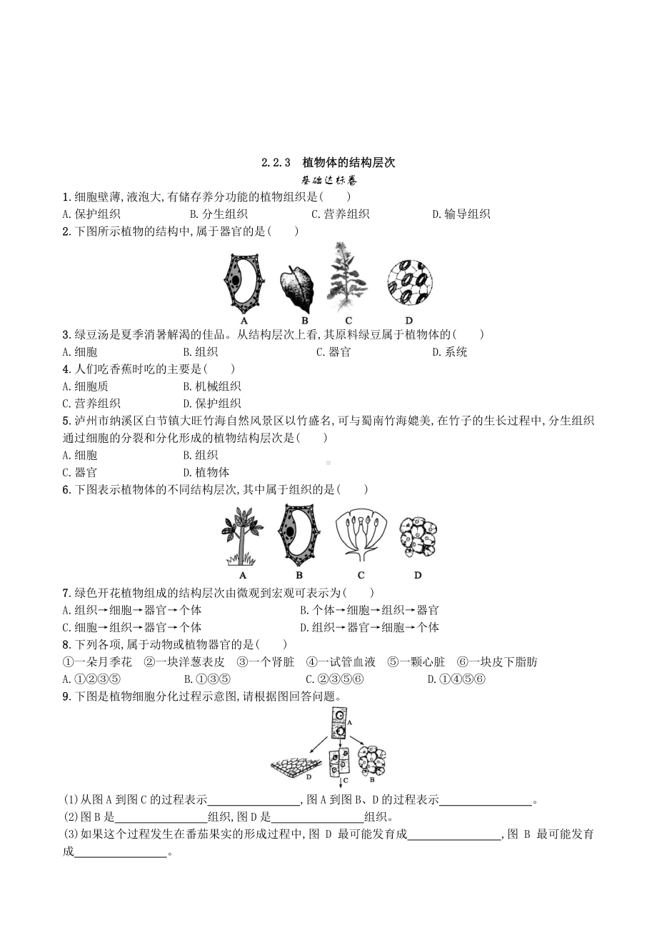 （七上生物人教版课时检测卷）2.2.3 植物体的结构层次.doc_第1页