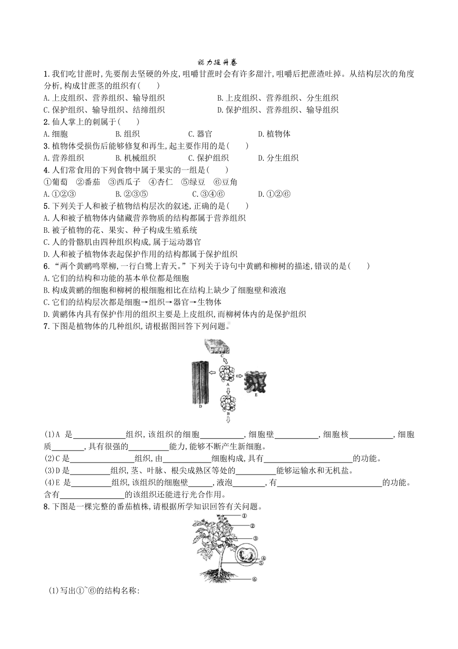 （七上生物人教版课时检测卷）2.2.3 植物体的结构层次.doc_第2页