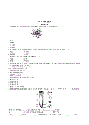 （七上生物人教版课时检测卷）3.2.2 植株的生长.doc