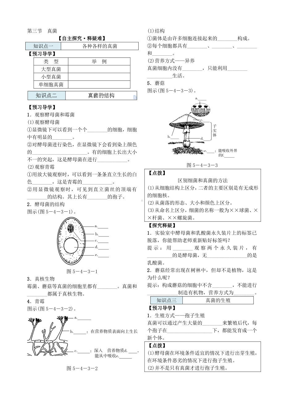 第三节 真菌 导学案.docx_第2页