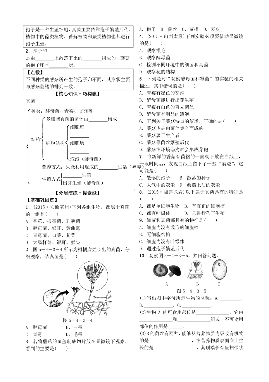 第三节 真菌 导学案.docx_第3页