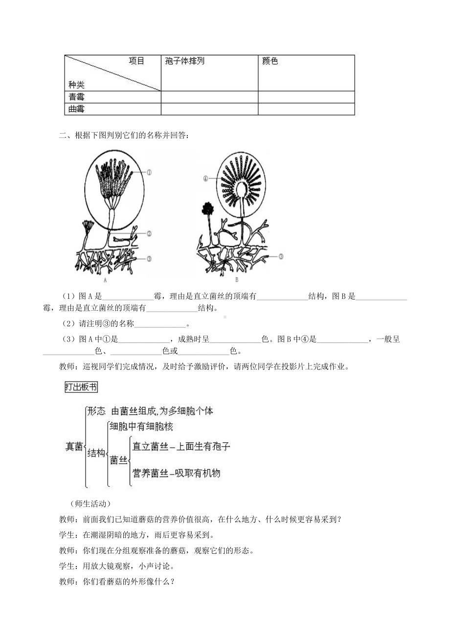 （八上生物人教版教案）第三节 真菌.docx_第3页