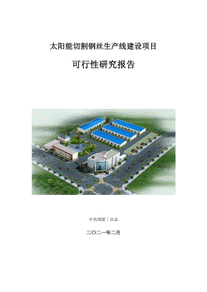 太阳能切割钢丝生产建设项目可行性研究报告.doc