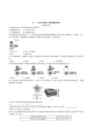 （七上生物人教版课时检测卷）3.5.1 光合作用吸收二氧化碳释放氧气.doc