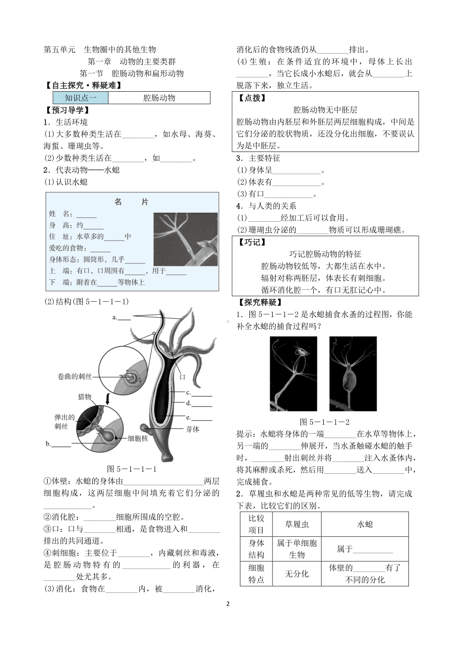 第一节 腔肠动物和扁形动物 导学案.docx_第2页