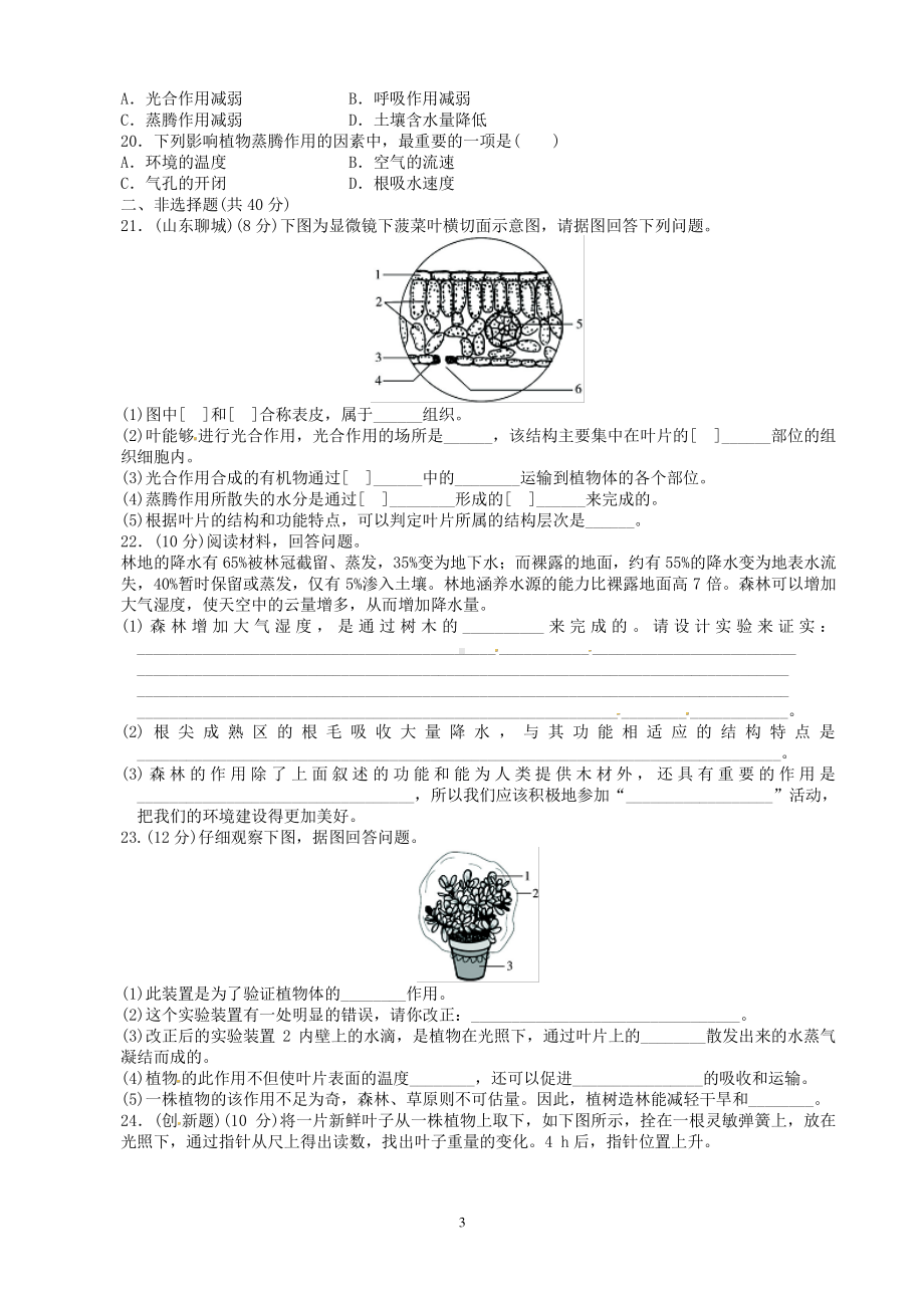 （七上生物人教版单元检测卷）3.3绿色植物与生物圈的水循环.doc_第3页