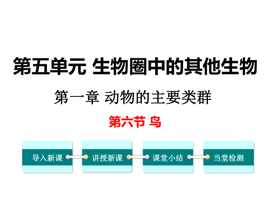 （八上生物人教版课件）6.第六节鸟.ppt_第1页