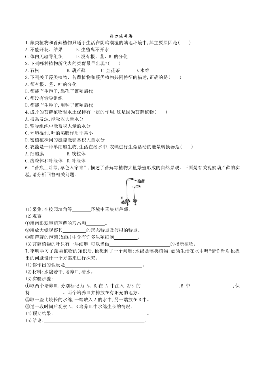 （七上生物人教版课时检测卷）3.1.1 藻类、苔藓和蕨类植物.doc_第2页