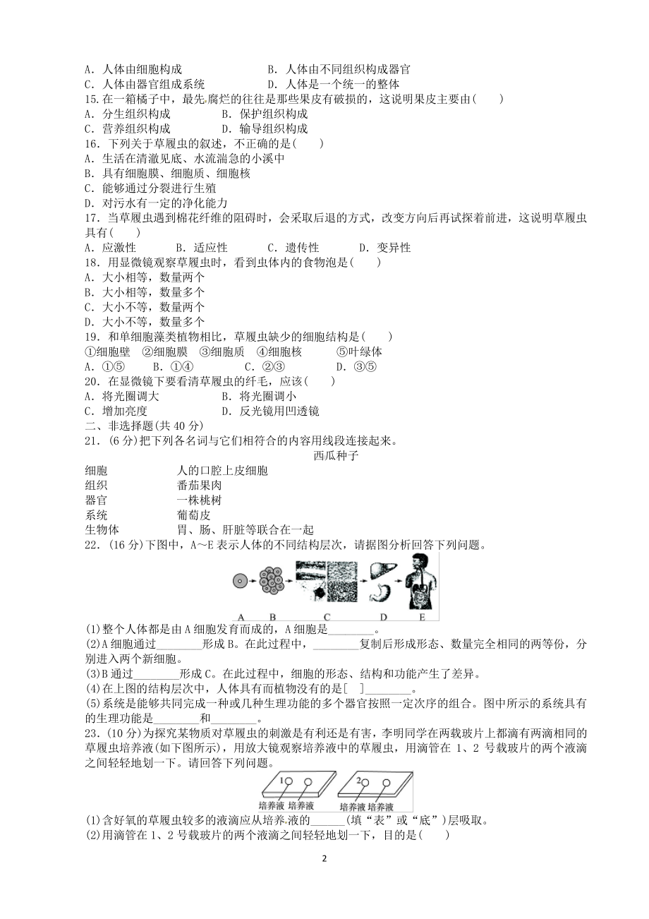 （七上生物人教版单元检测卷）2.2细胞怎样构成生物体.doc_第2页